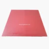lion-e-shield-anti-spin-table-tennis-rubber-red
