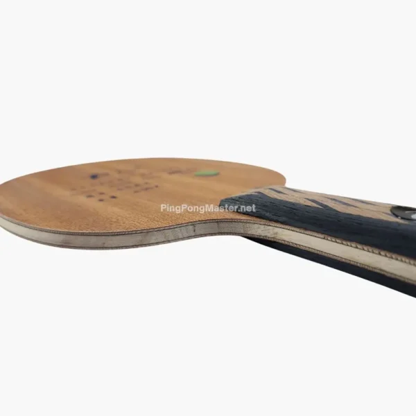 palio-t3-carbon-offensive-blade-carbon-view