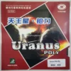 yinhe-uranus-poly-short-pimples-rubber-cover-front