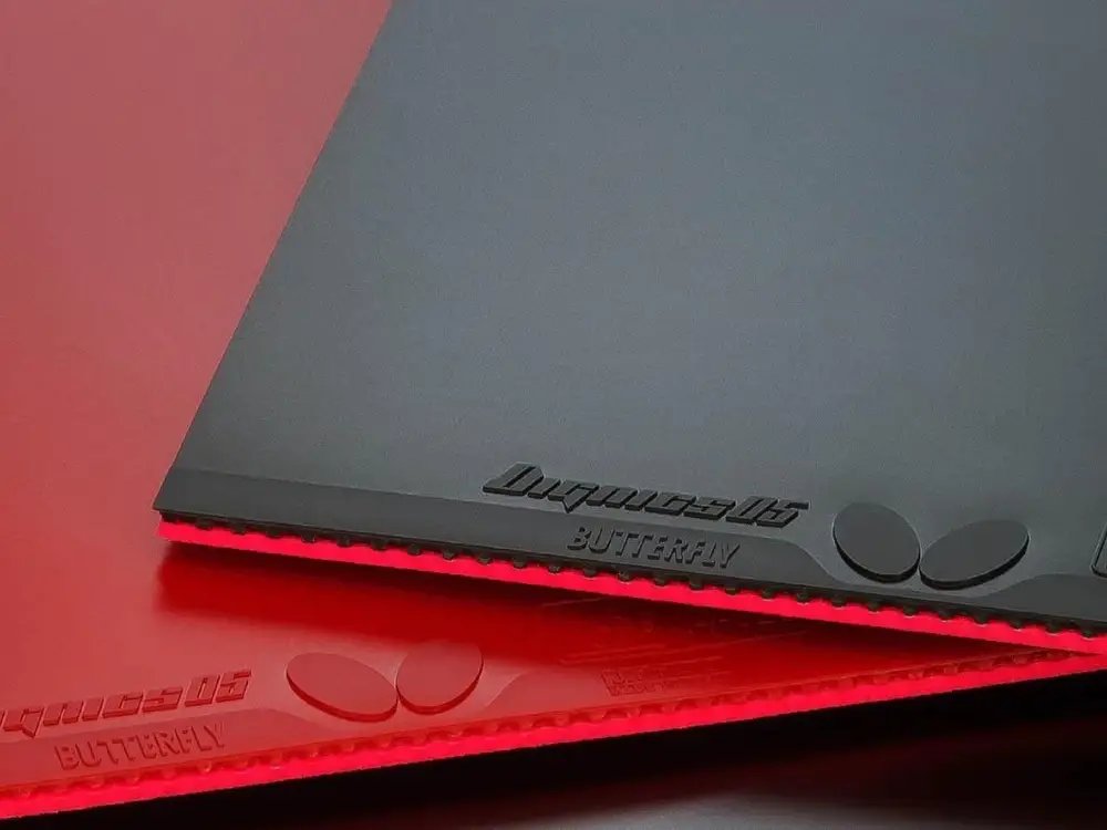 butterfly-dignics-05-review-gallery